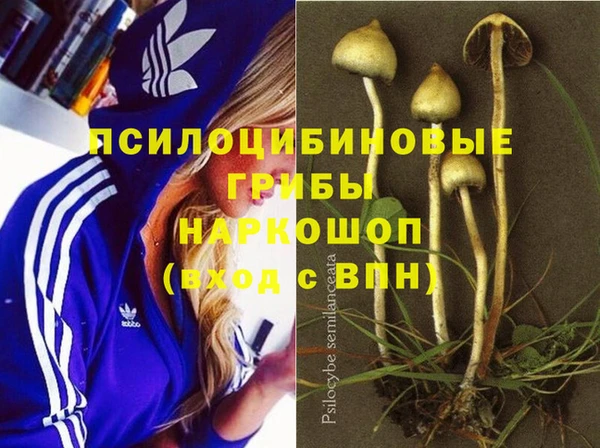 стаф Сафоново