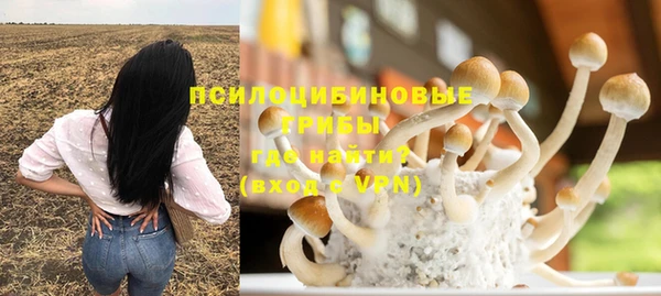 дурь Балахна